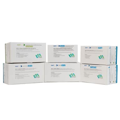 Starttest Parvovirus Candioli 5test